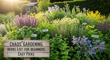 Chaos Gardening Herbs List for Beginners: Easy Picks