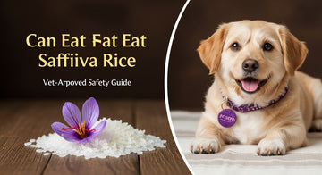 Can Dogs Eat Saffron Rice? Vet-Approved Safety Guide