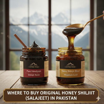 Where To Buy Original Honey Shilajit (Salajeet) In Pakistan
