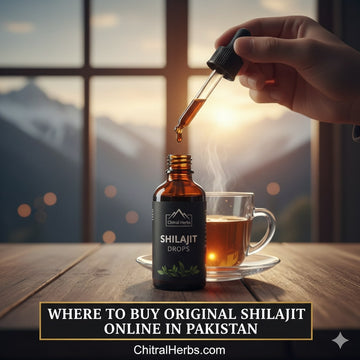 Where To Buy Original Shilajit Drops Online In Pakistan