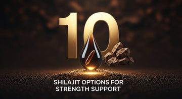 Top 10 Shilajit Options for Strength Support