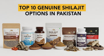 Top 10 Genuine Shilajit Options in Pakistan