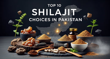 Top 10 Shilajit Choices in Pakistan