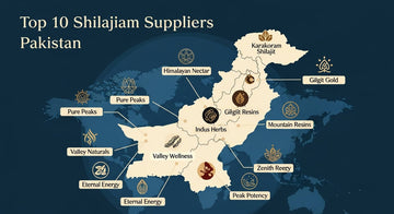Top 10 Shilajit Suppliers in Pakistan