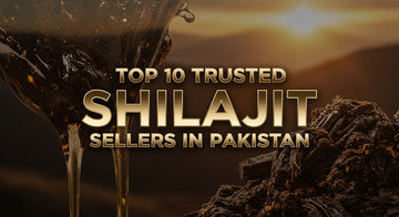 Top 10 Trusted Shilajit Sellers in Pakistan