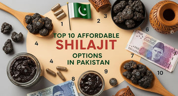 Top 10 Affordable Shilajit Options in Pakistan