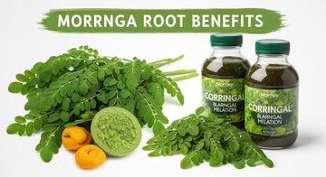 Moringa Root Benefits and Side Effects Explained