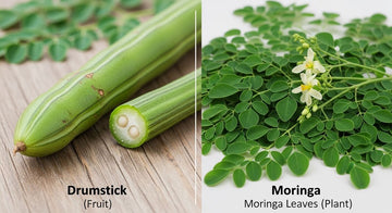    	 Difference Between Drumstick and Moringa Explained