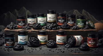 Top 10 Shilajit Options from Gilgit Region