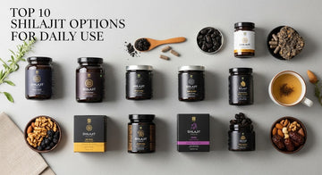 Top 10 Shilajit Options for Daily Use