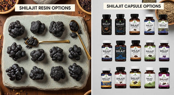 Top 10 Shilajit Resin vs Capsule Options