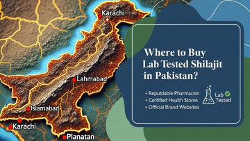 Where to Buy Lab Tested Shilajit in Pakistan