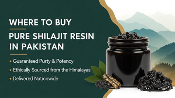 Where to Buy Pure Shilajit Resin in Pakistan