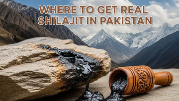 Where to Get Real Shilajit in Pakistan