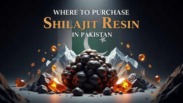 Where to Purchase Shilajit Resin in Pakistan