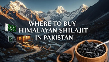 Where to Buy Himalayan Shilajit in Pakistan