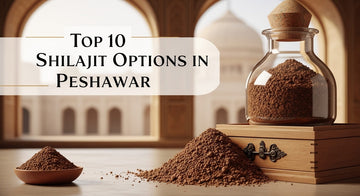 Top 10 Shilajit Options in Peshawar