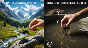 How to Choose the Right Shilajit Source
