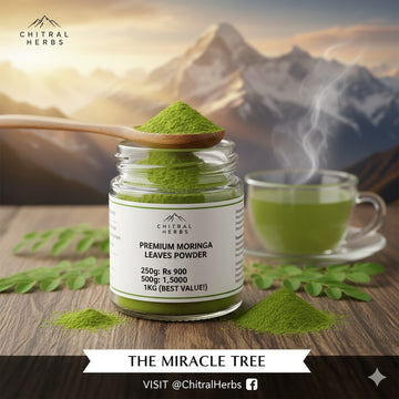 Moringa Leaves Powder Price in Pakistan: The Ultimate Guide to the "Miracle Tree"