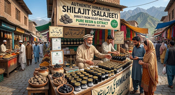 Where to Buy Pure Shilajit (Salajeet) in Haripur 2026 – Verified & High-Quality Sellers