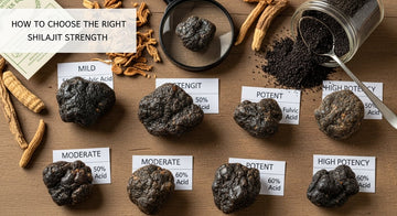 How to Choose the Right Shilajit Strength