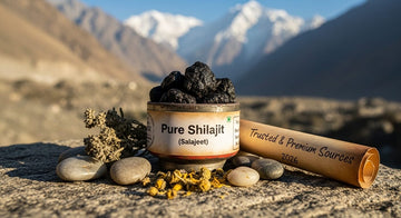 Where to Where to Buy Pure Shilajit (Salajeet) (Salajeet)in Gilgit Baltistan 2026 – Trusted & Premium Sources