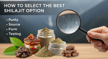 How to Select the Best Shilajit Option