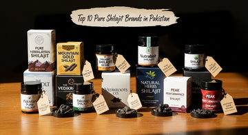 Top 10 Pure Shilajit Brands in Pakistan