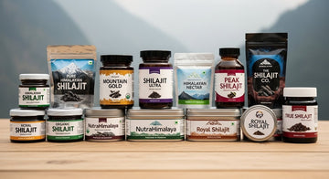 Top 10 Himalayan Shilajit Products in Pakistan