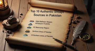 Top 10 Authentic Shilajit Sources in Pakistan