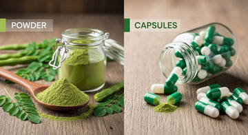 Moringa Oleifera Powder vs Capsules: Which Is Better