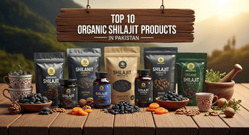 Top 10 Organic Shilajit Products in Pakistan