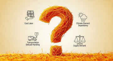 Why Is Saffron So Expensive 2025? Cost Breakdown