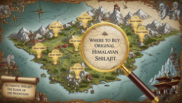 Where to Buy Original Himalayan Shilajit