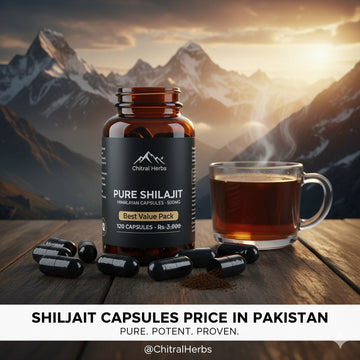 Shilajit (Salajeet) Capsules Price in Pakistan: Your Guide to Premium Vitality