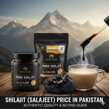 Shilajit (Salajeet) Price in Pakistan: Authentic Quality & Buying Guide 2026