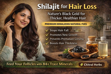 Hair Loss and Minerals: Can Shilajit Help Support Thicker Hair Growth?