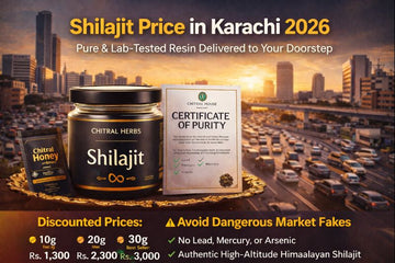 Shilajit Price in Karachi: Your 2026 Guide to Buying Authentic Gold-Grade Resin