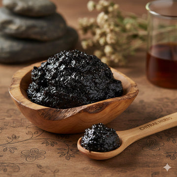 Best Shilajit Shop in Islamabad: Where to Buy Freshly Sourced Skardu Resin in the Capital
