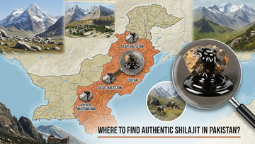 Where to Find Authentic Shilajit in Pakistan