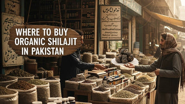 Where to Buy Organic Shilajit in Pakistan