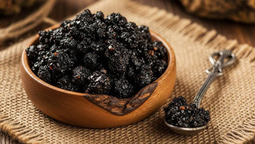 where to buy traditional shilajit